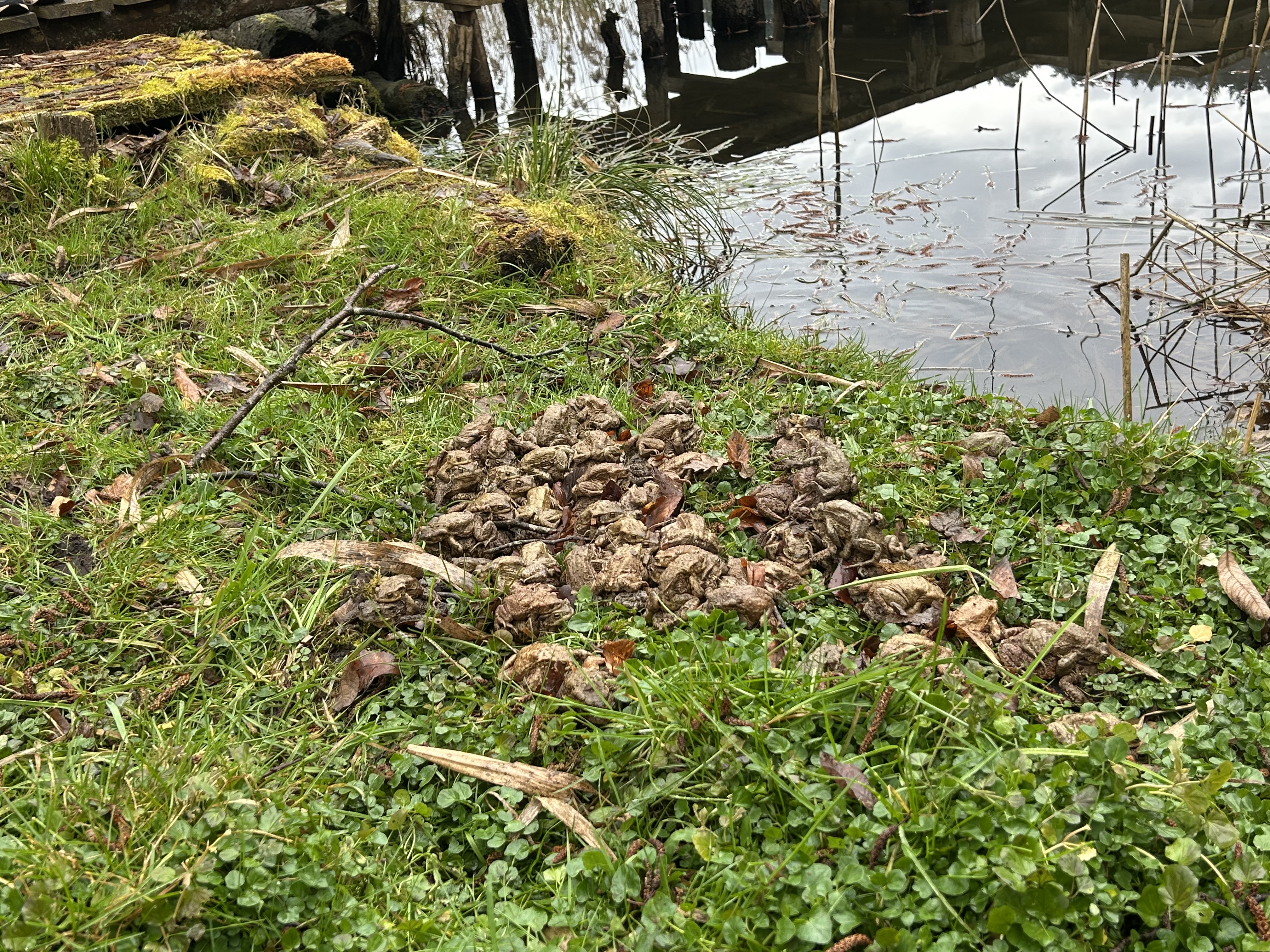 IMG_1910.jpg (5.07 MB)