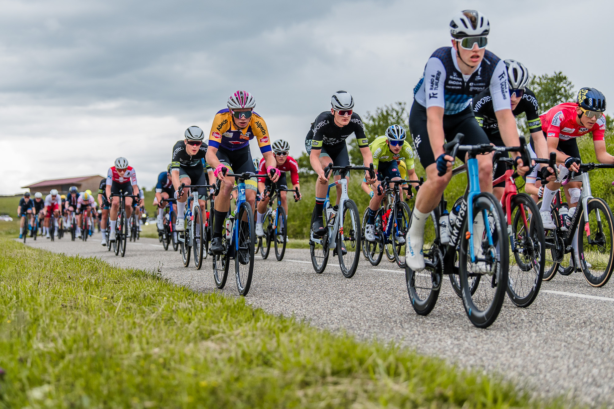 Trofeo - ©CCPB - 2.jpeg (883 KB)
